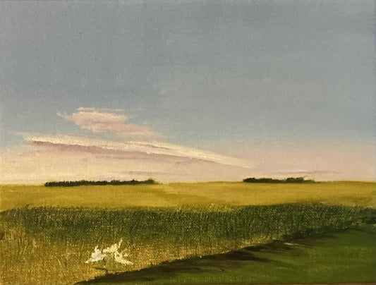 Pink Cloud Over Prairie, 2026, oil on canvas, 12 x 16 in. / 30.48 x 40.64 cm.