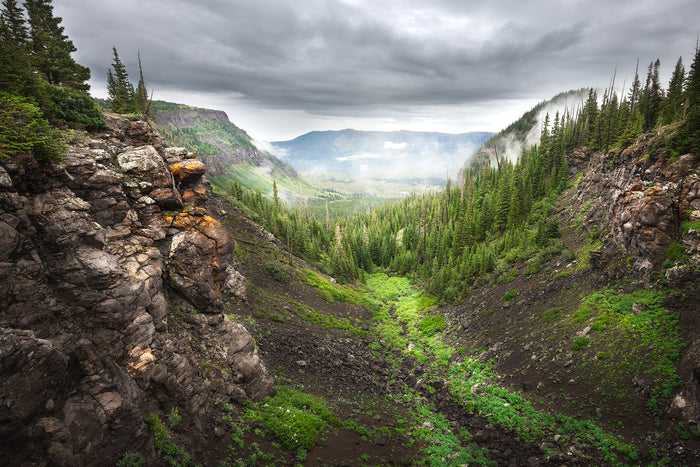 Into the Fog, 2023, archival pigment print, 16 x 24 in. / 40.64 x 60.96 cm.