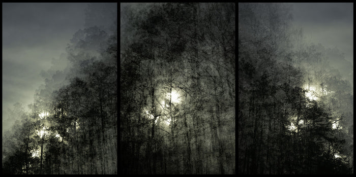 Providence I, 2023, photography, 40 x 82 in. / 101.6 x 208.28 cm.