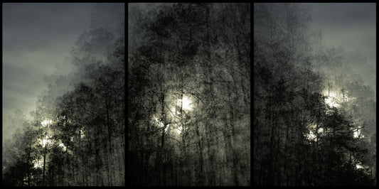 Providence I, 2023, photography, 40 x 82 in. / 101.6 x 208.28 cm.