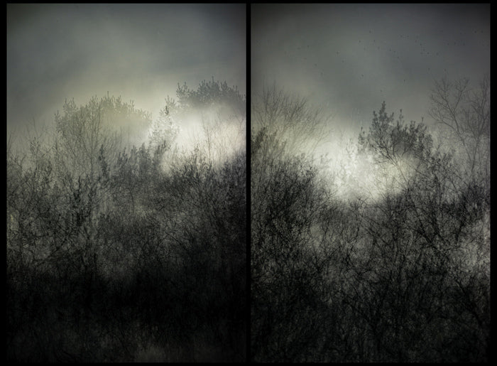 Providence II, 2023, photography, 40 x 54 in. / 101.6 x 137.16 cm.