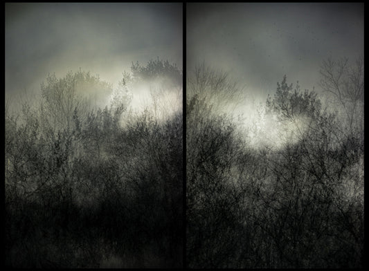 Providence II, 2023, photography, 40 x 54 in. / 101.6 x 137.16 cm.