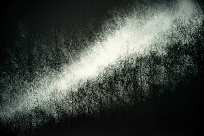 Providence VII, 2023, photography, 16 x 24 in. / 40.64 x 60.96 cm.