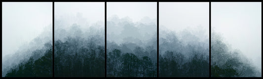 Providence XV, 2024, photography, 24 x 80 in. / 60.96 x 203.2 cm.