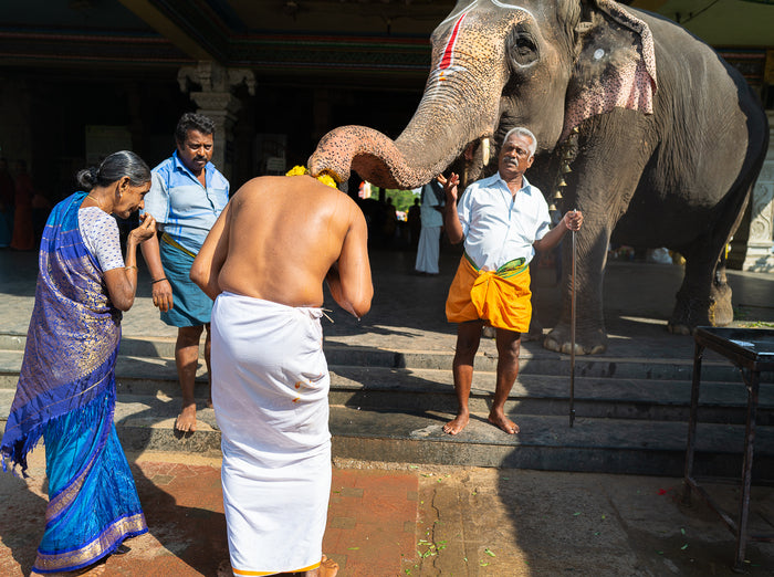 Elephant Blessing, 2020, archival pigment print, 18 x 24 in. / 45.72 x 60.96 cm.