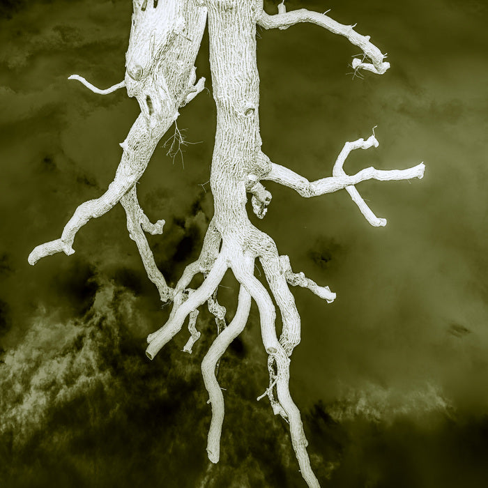 Arcus Photinus (Luminous Arc), 2022, photography, 80 x 80 cm. / 31.4 x 31.4 in.
