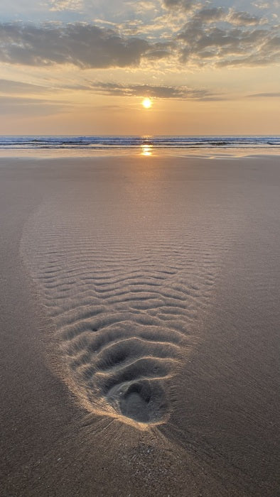 Bliss, 2024, digital photography, 80 x 45 cm. / 31.4 x 17.7 in.