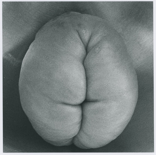 Chayote, 2023, archival silver gelatin print, 12 x 12 in. / 30.48 x 30.48 cm.