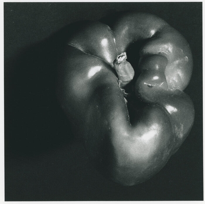 Green, 2023, archival silver gelatin print, 12 x 12 in. / 30.48 x 30.48 cm.