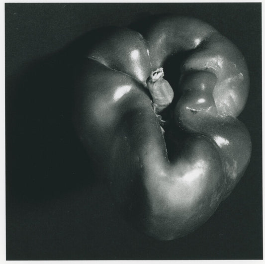 Green, 2023, archival silver gelatin print, 12 x 12 in. / 30.48 x 30.48 cm.