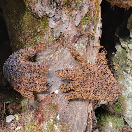 Tree Hugger, 2026, digital photography, 16 x 16 in. / 40.64 x 40.64 cm.