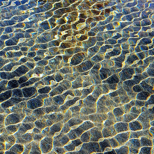Saltwater Marsh Grasses, 2023, digital photography, 16 x 16 in. / 40.64 x 40.64 cm.