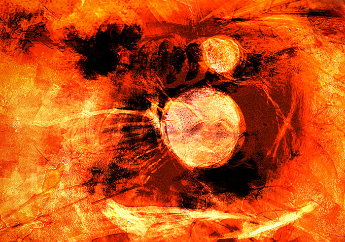 Creation Chaos, 2026, photography, 13 x 19 in. / 33.02 x 48.26 cm.