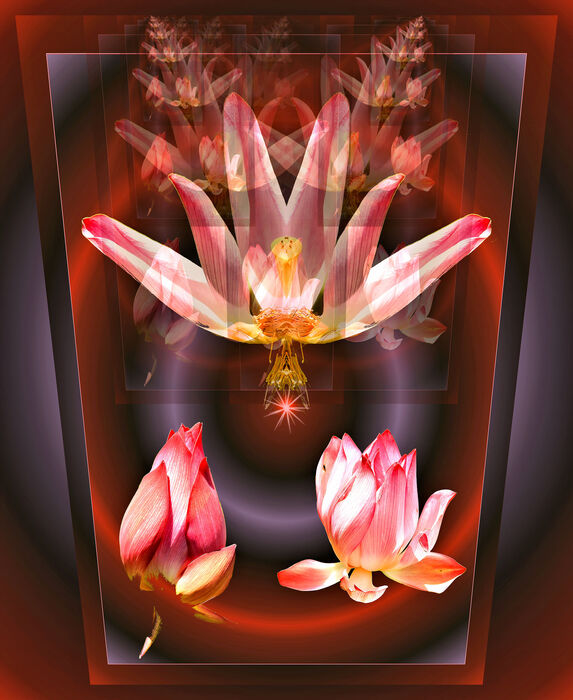 Reflections of a Busy Mind, 2026, digital photography, 20 x 18 in. / 50.8 x 45.72 cm.