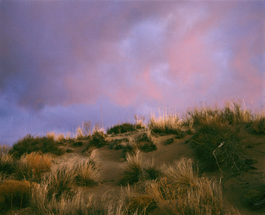 Sunset Grass, 1990, photograph, 15 x 18 in. / 38.1 x 45.72 cm.