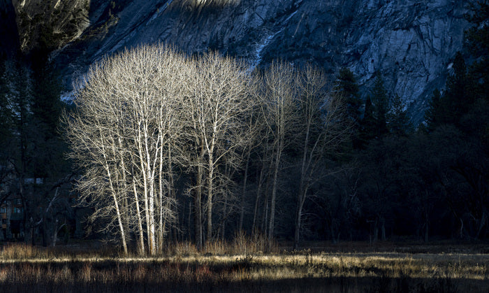 DECEMBER IN YOSEMITE VALLEY - SUNRISE, 2025, photography, 24 x 36 in. / 60.96 x 91.44 cm.