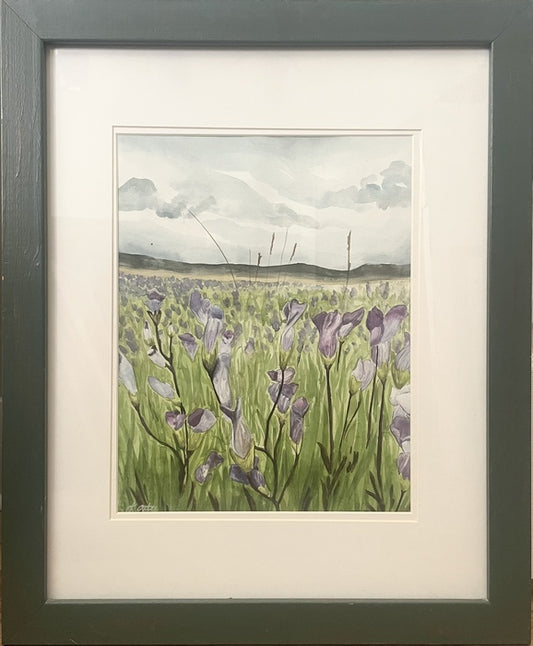 Yellowstone Florals, 2024, watercolor, 14 x 11 in. / 35.56 x 27.94 cm.
