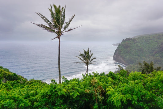 Breath of Life at Pololu Valley, 2026, photography, 12 x 18 in. / 30.48 x 20.32 cm.