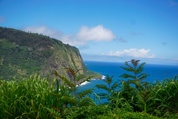 Waipio Valley: Home of the Gods, 2026, photography, 12 x 18 in. / 30.48 x 20.32 cm.