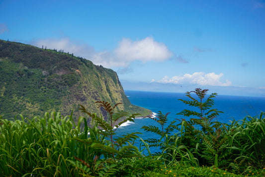 Waipio Valley: Home of the Gods, 2026, photography, 12 x 18 in. / 30.48 x 20.32 cm.
