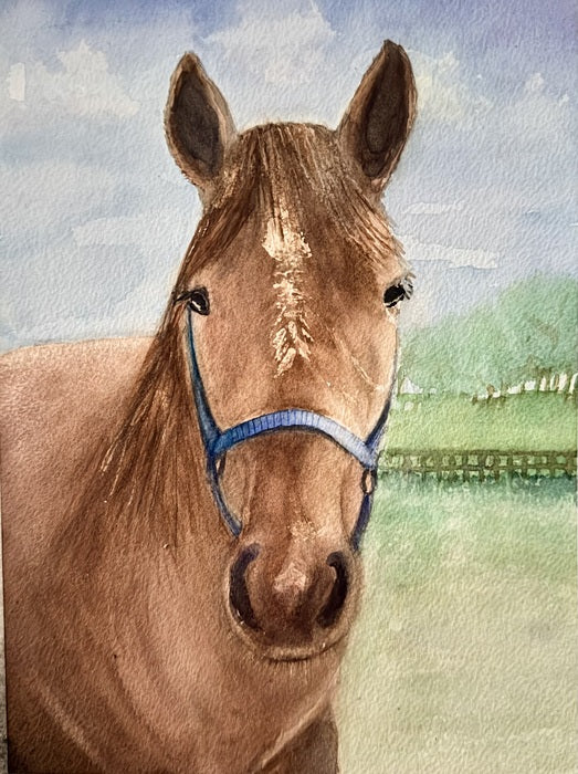 Bob’s Horse, 2026, watercolor, 12 x 9 in. / 30.48 x 22.86 cm.