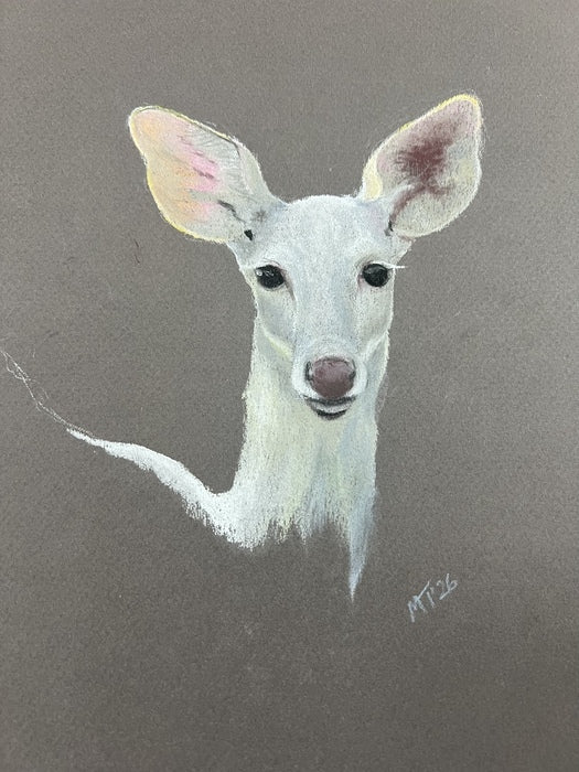 Lee's Deer, 2025, pastel pencil, 10 x 8 in. / 25.4 x 20.32 cm.