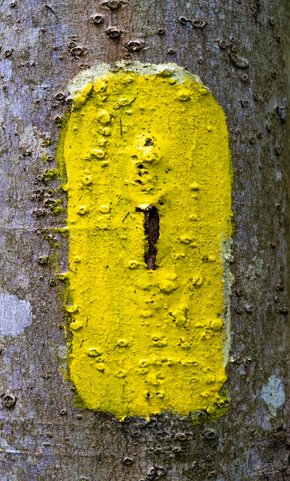 Blaze: You Need a Key, 2025, photography on watercolor paper, 30 x 20 in. / 76.2 x 50.8 cm.