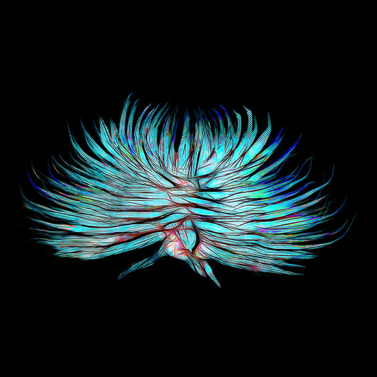 Panic, 2026, photo print, 6 x 6 in. / 15.24 x 15.24 cm.