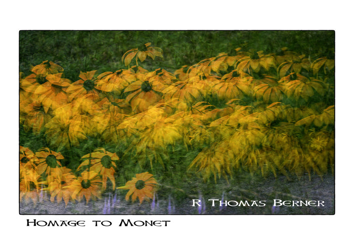 Homage to Monet, 2026, photography, 13 x 19 in. / 33.02 x 48.26 cm.