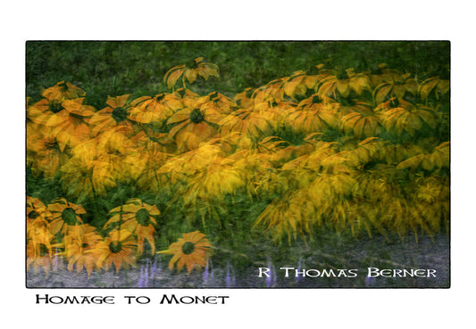 Homage to Monet, 2026, photography, 13 x 19 in. / 33.02 x 48.26 cm.