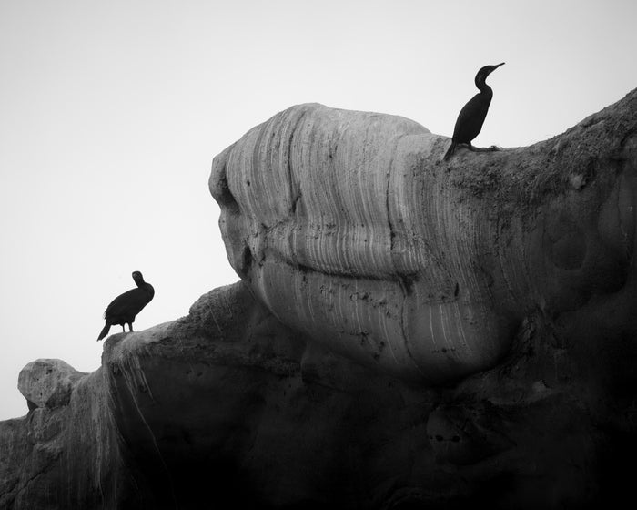 Holding The In Between, 2025, photography, 15 x 19 in. / 38.1 x 48.26 cm.