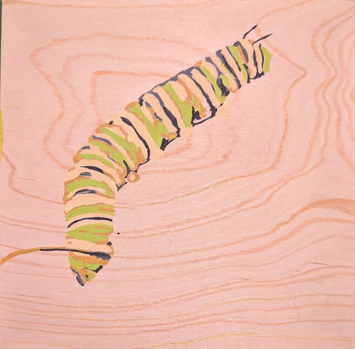 Danaus Plexippus, 2025, acrylic and watercolor on wood, 7 x 7 in. / 17.78 x 17.78 cm.