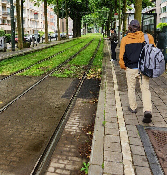 Tram Tracks in Amsterdam, 2024, photography, 14 x 14 in. / 35.56 x 35.56 cm.