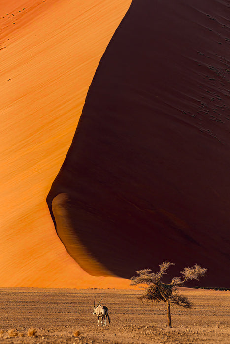 Lone Oryx and Massive Dune, 2026, archival print, 16 x 24 in. / 40.64 x 60.96 cm.