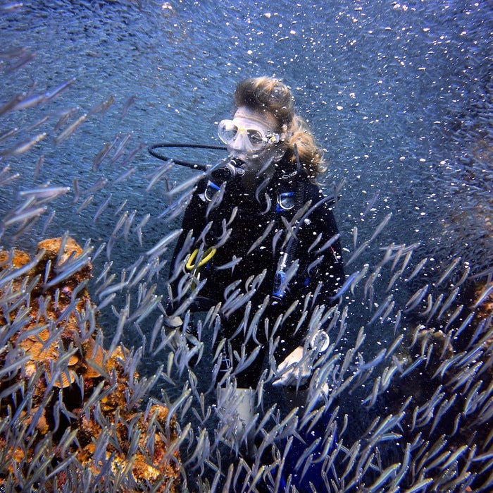 Emergence, 2015, digital photography, 12 x 12 in. / 30.48 x 30.48 cm.