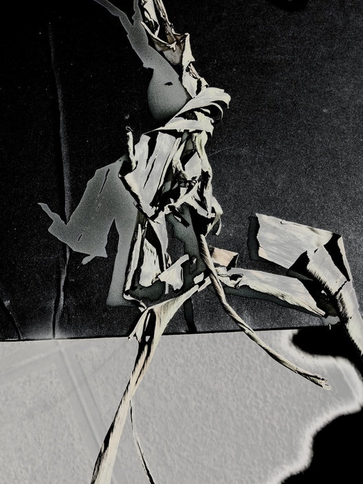 SPOKESMEN, 2026, digital photography, 29 x 21 cm. / 11.4 x 8.26 in.