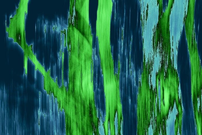 Trees, 2023, photography, 11 x 14 in. / 27.94 x 35.56 cm.