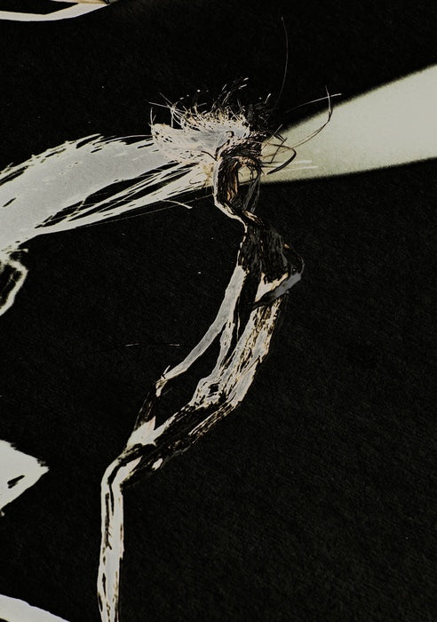 JANUS, 2026, digital photography, 42 x 29 cm. / 16.5 x 11.4 in.