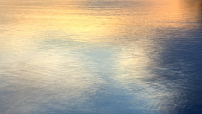 The Unknown Shadow, 2025, digital photography, 80 x 45 cm. / 31.4 x 17.7 in.