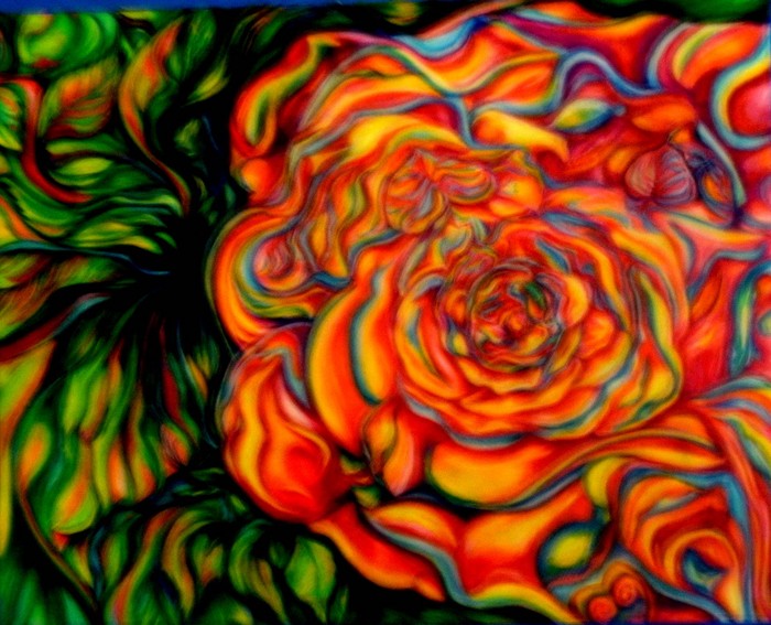 Martha's Rose, 2012, colored pencil, 16 x 20 in. / 40.64 x 50.8 cm.