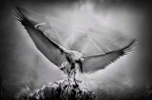Homecoming, 2020, photography, 20 x 30 in. / 50.8 x 76.2 cm.