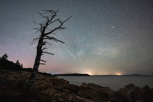 Acadian Nights, 2025, photography, 18 x 24 in. / 45.72 x 60.96 cm.