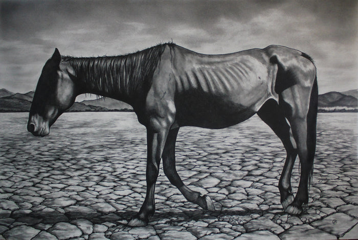 Activist Dream: America's Mustang, 2024, pencil, 25 x 30 in. / 63.5 x 76.2 cm.