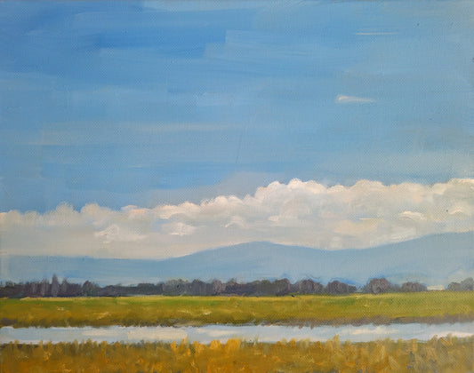 After the Rain, 2022, oil on canvas, 11 x 14 in. / 27.94 x 35.56 cm.