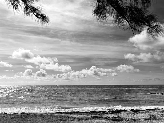 Afternoon in Key West, 2022, black and white digital print, 12 x 14 in. / 30.48 x 35.56 cm.