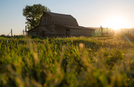 At the Row, 2024, photography, 16 x 22 in. / 40.64 x 55.88 cm.