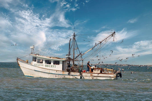 Bay Shrimping, 2024, archival print, 16 x 24 in. / 40.64 x 60.96 cm.