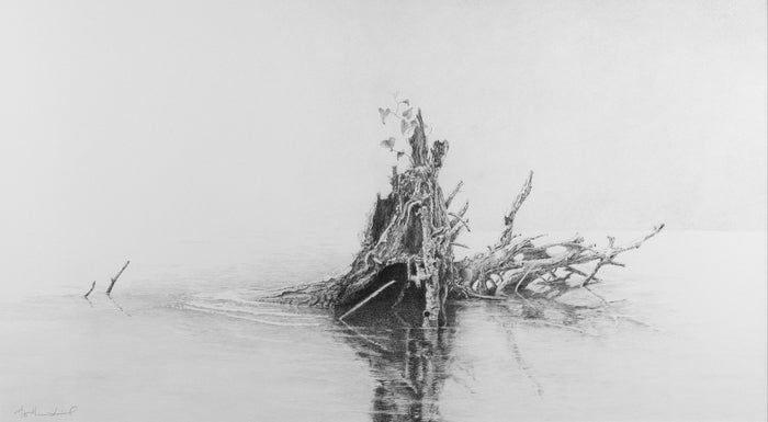 Blue Ridge Sonnet #36, 2019, graphite, 25 x 40 in. / 63.5 x 101.6 cm.