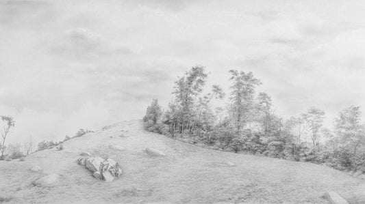 Blue Ridge Sonnet #57, 2021, graphite, 33 x 54 in. / 83.82 x 137.16 cm.