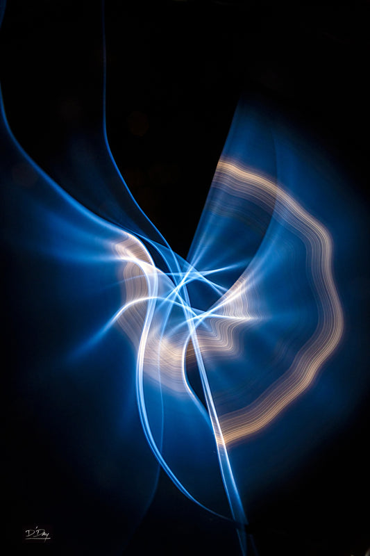 Blue Wire, 2023, photograph, 11 x 14 in. / 27.94 x 35.56 cm.